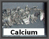 ELSA product: calcium
